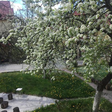 Квартира-Студія Шале Truskaveț Exterior foto